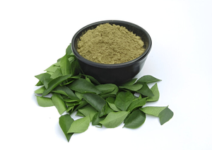 ผงใบกะหรี่ธรรมชาติ (Kadi Patta Powder) จากต้นมูร์รายา โคเอนิกี สำหรับใช้ในอาหารและเครื่องดื่ม สูตรจากพืช วัตถุดิบธรรมชาติ - Product Image 2