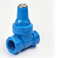 Vanne à opercule filetée manuelle à joint souple PN10, connexion optionnelle pour compteur d'eau, 1/2"-4", pour alimentation en eau des bâtiments civils, OEM