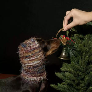 כלבים יוקרה גי כלבים מטושטש ידידותי לסרוג כובעים חג המולד עם עיצוב רטרו חמוד עבור <span class=keywords><strong>dachshund</strong></span>-מכונת כביסה - Product Image 3