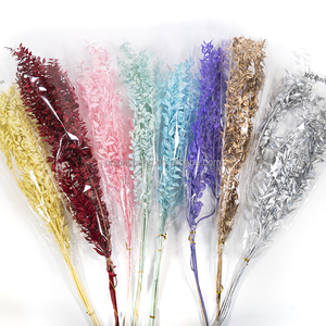 Ruscus Italiano Preservato, Fiore d'Argento Eterno, <span class=keywords><strong>Fiori</strong></span> di Ruscus Essiccati e Conservati - Product Image 2