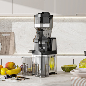 Tùy chỉnh 5.9 inch lớn Miệng nhiệm vụ nặng nề chuyên nghiệp cho ăn tự động toàn bộ trái cây chậm Máy ép trái cây thương mại máy ép trái cây vắt máy - Product Image 2