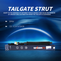 Amortiguador de Apertura de Maletero SOGEFI Nuevo de Repuesto para BMW Serie 5 OE 51247373438