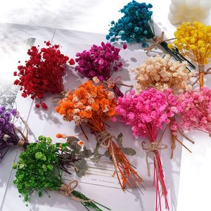 Mini Colorful Dried Baby's Breath Bouquet <b>Diy</b> Craft <b>Kit</b> For Home Decor Wall Art Accessories Yiwu Origin - Product Image 1