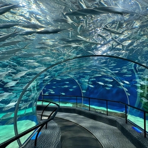 Acuario de pecera acrílico redondo cilindro grande personalizado - Product Image 4