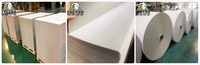 Chine Duplex Carton AAA Grade Duplex Board Gris Retour Papier Ningbo Port Bleach Board Haute Qualité 250 Grammes