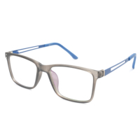 Readsun Vente en gros de montures optiques en plastique élégantes, légères, transparentes, grises, montures de lunettes carrées, fabricant de montures de lunettes