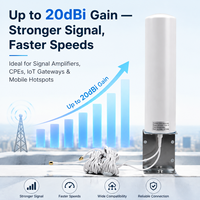 Antenne omnidirectionnelle extérieure 5G LTE 698-2700 MHz 10-12 dBi à gain élevé 2x2 MIMO double TS9 amplificateur de signal répéteur montage sur poteau IP68
