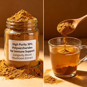 Extrait de champignon Reishi en poudre à haute pureté, 30% de polysaccharides, pour le soutien immunitaire et la longévité - Product Image 3