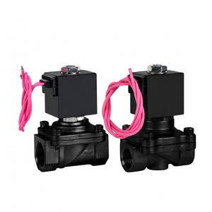 วาล์วโซลินอยด์น้ำ/แก๊ส COVNA B2Bclearance Sale ขนาด 1/2 นิ้ว แบบปกติปิด 2 ทาง สำหรับน้ำ  OEM ปรับแต่งได้ - Product Image 1