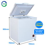 Réfrigérateur-congélateur solaire ESUN 158L DC 24V pour usage domestique au Moyen-Orient, Dubaï