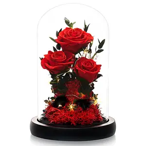 Wholesale Forever Rose Gifts For Mother's Day Eternal Infinity Flower Preserved Roses In Glass Dome With Led Light