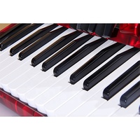 OEM High Quality Professional 30 Keys 48 Bass 3 Registers Red Blue Celluloid Wood Portable Piano Keyboard Accordion Chromatic