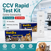 Prueba Combinada Veterinaria para CCV y CPV, Kit de Diagnóstico Rápido para Coronavirus Canino y Parvovirus Canino