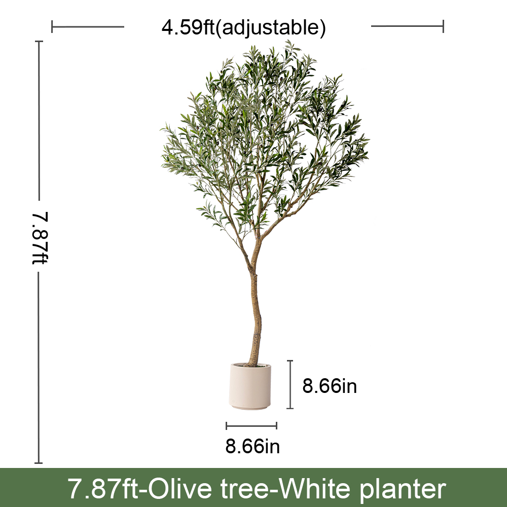 7.9FT/240CM