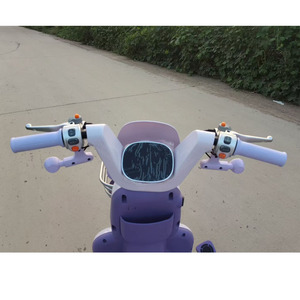 तीन पहिया इलेक्ट्रिक स्कूटर (TF-TRK251) - Product Image 6