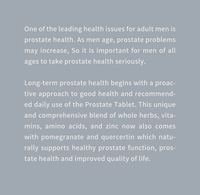 Complément de Palmier Nain (Saw Palmetto) à Marque Blanche OEM pour Hommes – Comprimés pour la Santé de la Prostate Masculine