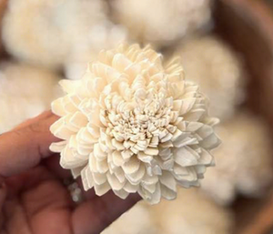 D868 Wholesale Small Round Home Decoration <b>Flowers</b> Aromatherapy Reed <b>Diffuser</b> Wood Sola Zinniya <b>Flower</b> Christmas Mother's Day - Product Image 2