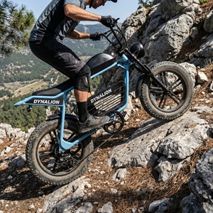 Bicicleta Eléctrica <span class=keywords><strong>Etro</strong></span> Sport con Motor Trasero, Llantas Anchas de Litio, Frenos de Disco Hidráulicos de Acero, Asiento Largo y Estable para Ciudad - Product Image 3