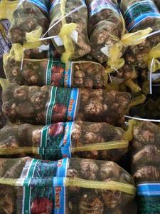 Neue Ernte Frische <span class=keywords><strong>Taro</strong></span> Fabrik Niedriger Preis <span class=keywords><strong>Taro</strong></span> Hohe Qualität Export <span class=keywords><strong>Taro</strong></span> - Product Image 6