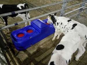 Réservoir d'abreuvement pour vaches moutons animaux laitiers chevaux noyau en acier résistant système de chauffage plaque bac à eau en <span class=keywords><strong>plastique</strong></span> - Product Image 5