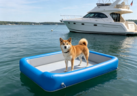 Plateforme de repos flottante gonflable antidérapante pour animaux de compagnie, pont flottant pliable et portable pour chiens
