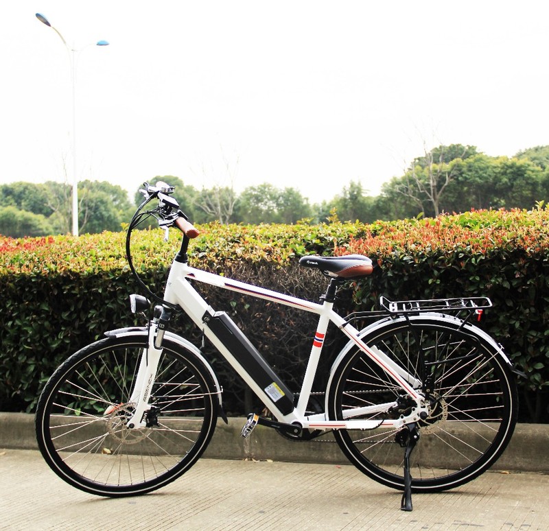 OEM 48V 350W Electric Bike Multi
