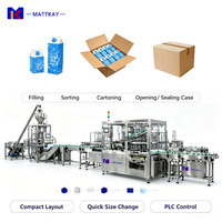 Ligne d'emballage automatique aseptique pour boîtes de lait en carton, petite machine de remplissage et d'emballage de jus de fruits en carton de 125 ml, 200 ml, 500 ml