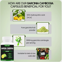 Ausreson OEM Garcinia cambogia extracto quemador de grasa suplemento adelgazante puro HCA píldoras Garcinia cambogia cápsula para pérdida de peso
