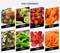 2025 Mini Vacuüm Vriesdroger Voor Voedselverwerking Kleine Vriesdroogmachines Voor Dierenvoeding Fruit Groenten Plc Motor