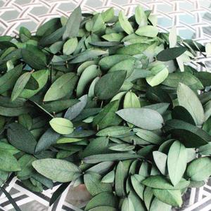 Vraies feuilles d'<span class=keywords><strong>eucalyptus</strong></span> séchées en vrac pour bougie d'aromathérapie bricolage décor à la maison coffret cadeau parfumé naturel - Product Image 6