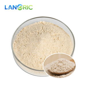 Yüksek Kaliteli Gıda Sınıfı Doğal <span class=keywords><strong>Psyllium</strong></span> Tohumu Kabuğu Ekstresi <span class=keywords><strong>Psyllium</strong></span> Kabuğu Tozu <span class=keywords><strong>Psyllium</strong></span> Tohumu Kabuğu Ekstresi Tozu - Product Image 1