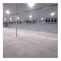 Cámara Frigorífica Industrial Grande con Sistema de Refrigeración por Amoníaco para Pescado, Mariscos y Carne
