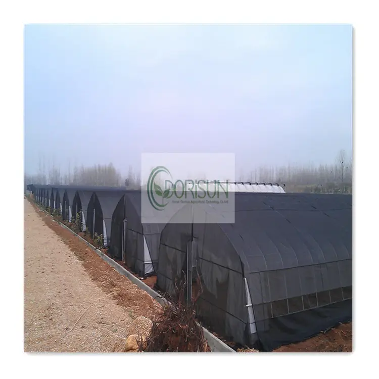 Shade Net Single-Span Agricultural Pest Greenhouse Electric Pipe Rail Aluminum Foil Inner Shade Green House With Flowers