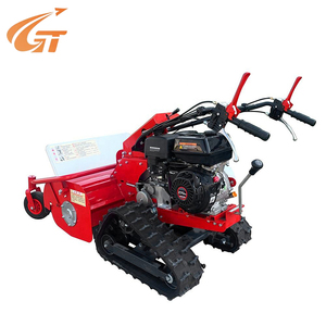 Marcher derrière la tondeuse à gazon Machine à essence à usage domestique pour les outils à main électriques de jardin et de ferme - Product Image 2