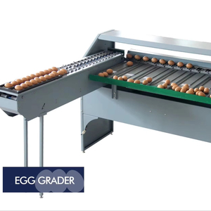 Máquina Automática Clasificadora y Seleccionadora de Huevos Más Vendida, con Acero Inoxidable 304, para Procesamiento de Huevos, Frutas y Verduras - Product Image 1