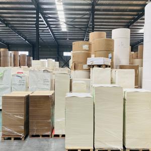 Hoja de Papel Recubierto de PE para Impresión Offset, Materia Prima para Vasos de Papel - Product Image 5