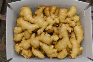 <span class=keywords><strong>Prix</strong></span> de gros du <span class=keywords><strong>gingembre</strong></span> séché pour les légumes frais par kilogramme en Chine - Product Image 5