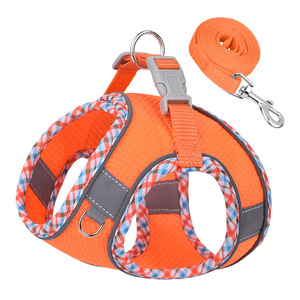 Özel Logolu Ayarlanabilir Yansıtıcı Naylon Fileli Evcil Hayvan Tasması ve Tokalı Tasma Seti (Kediler, Yavru Kediler, Küçük Köpekler için) - Product Image 6