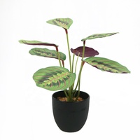 Plante artificielle mini calathea de 25 cm de haut, très vendue, décoration d'intérieur, petit bonsaï