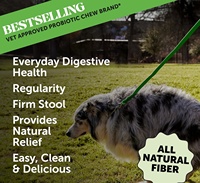 Poudre de fibres de citrouille pour chiens avec Psyllium Husk, favorisant la santé des graisses et du système digestif, soutien OEM
