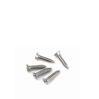 Vis à bois en acier inoxydable vis à toiture zingué vis à tête cylindrique torx auto-fixantes bande de cloisons sèches en béton vis autotaraudeuses