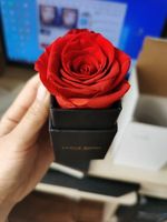 Fleur préservée dans une boîte carrée, Rose éternelle, pour décoration, 1 pièce, meilleure vente