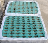 Pavé de jardin en béton poreux emboîtable économique avec technique de cuisson à la vapeur et garantie d'un an pour usage résidentiel