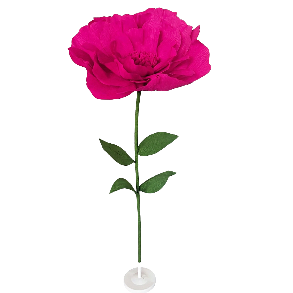 Rosa fuerte sin soporte