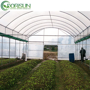 Invernadero de Túnel de Alta Eficiencia con <span class=keywords><strong>Malla</strong></span> de Sombreado para Cultivo, al Mejor Precio - Product Image 6