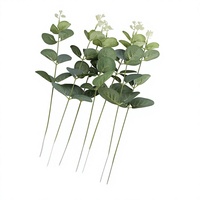 Daun Eucalyptus Buatan Bentuk Koin 30-100cm Gaya Instagram Minimalis Aksesoris Rangkaian Bunga Pernikahan Bunga buatan, tanaman buatan