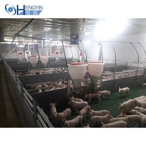 Caisses <span class=keywords><strong>de</strong></span> pépinière durables galvanisées à chaud pour porcs, meilleure <span class=keywords><strong>vente</strong></span> <span class=keywords><strong>d</strong></span>'équipement agricole - Product Image 3