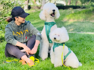 Correa y Arnés para Mascotas (Perros y Gatos) con Dispensador de Bolsas para Excrementos, Recubrimiento de PVC Súper Resistente, Impermeable y Fácil de Limpiar - Product Image 4