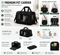 Sac de transport souple en tissu Oxford respirant pour animaux de compagnie sous l'assise d'avion, avec logo personnalisé, pour petits animaux, vente en gros et au détail