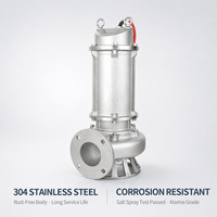 Pompe submersible pour eaux usées en acier inoxydable WQP SS304 SS316 anti-corrosion 0,75-15 kW 220 V 380 V CE OEM 1 unité minimum